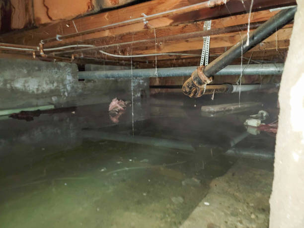 Best Water damage contractors near me  in Loganville, PA