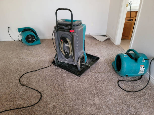 Best Flooded house restoration  in Loganville, PA