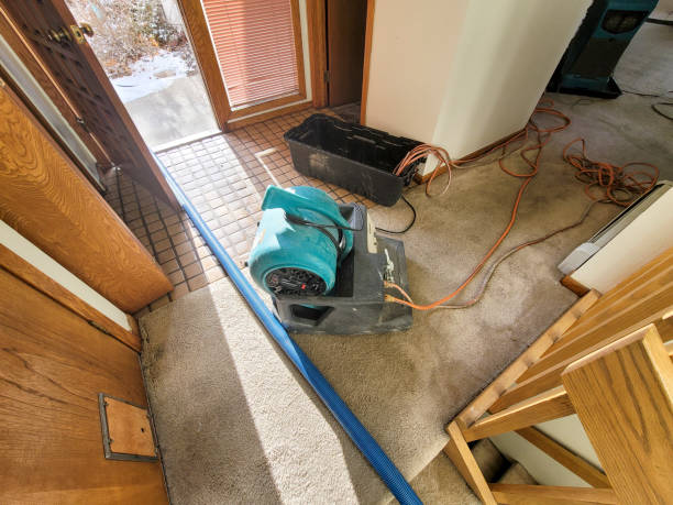 Best Flood damage cleanup  in Loganville, PA