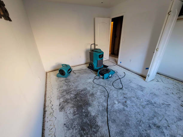 Best Mold removal after water damage  in Loganville, PA