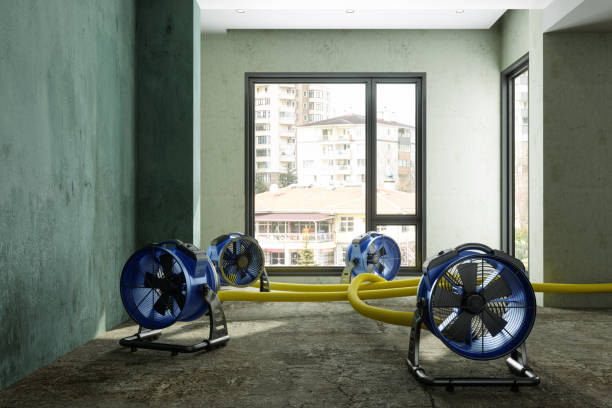 Best Local water damage restoration  in Loganville, PA